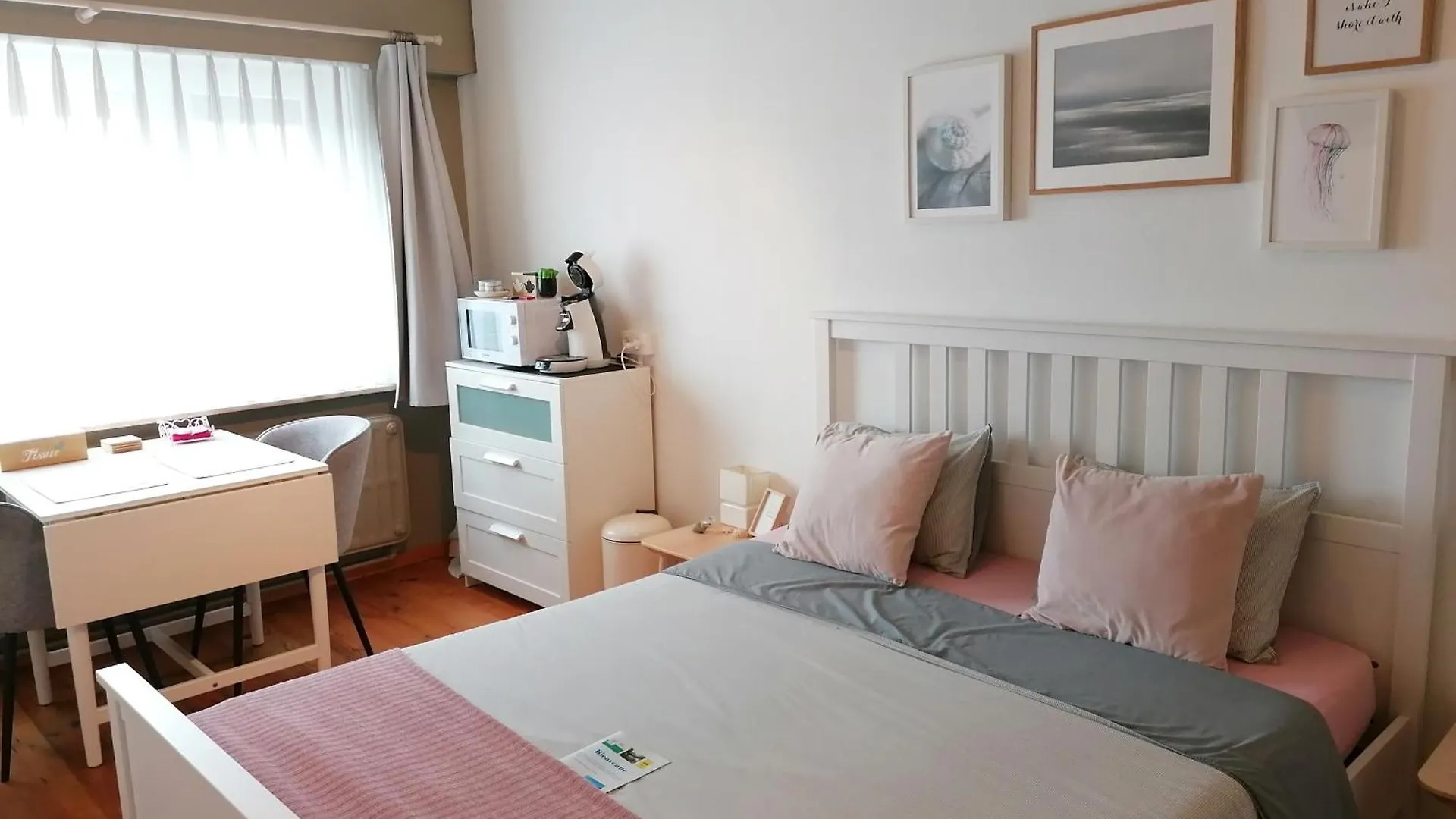 Sea-Me Ostend contacts